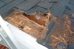 what to do and what not to do for roofing repair kansas city blue springs missouri new install