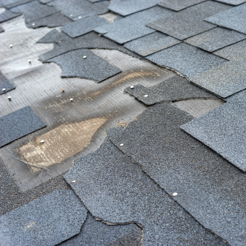 Roof with missing shingles and sheathing or decking showing through